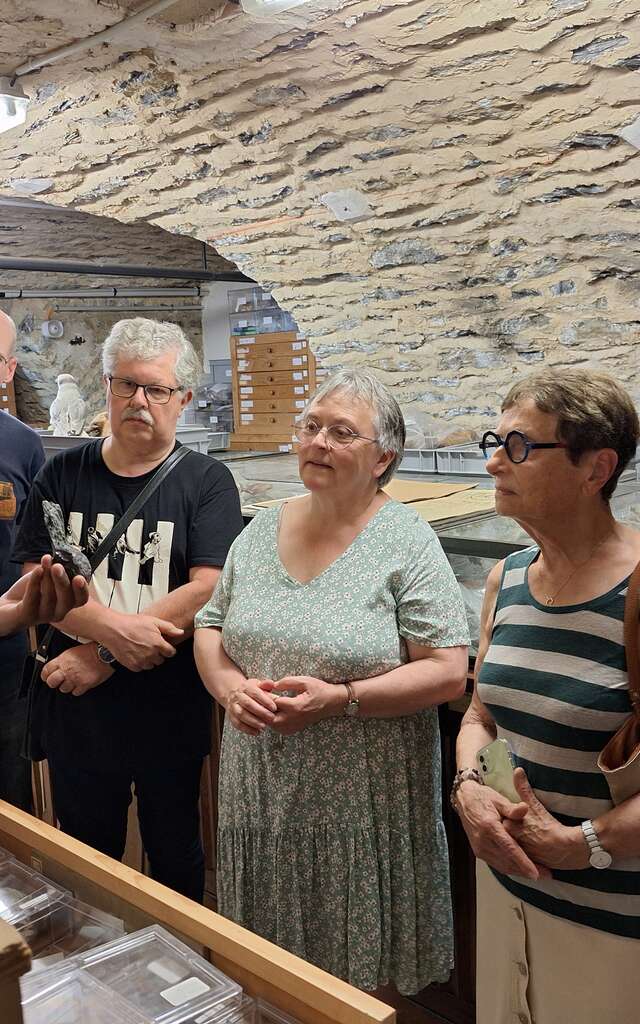 Visite : Les réserves du musée des sciences