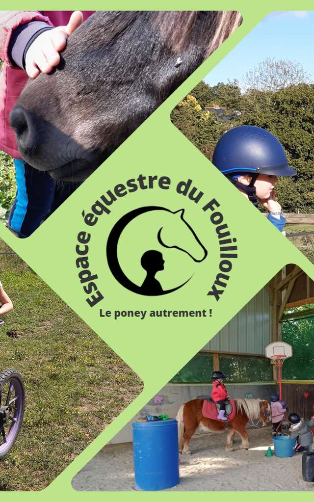 Stage poney 6/10 ans