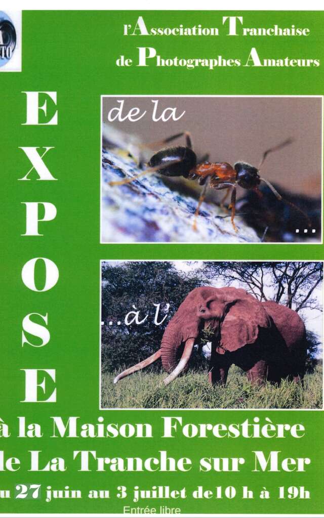 l'ATPA expose à la Maison Forestière