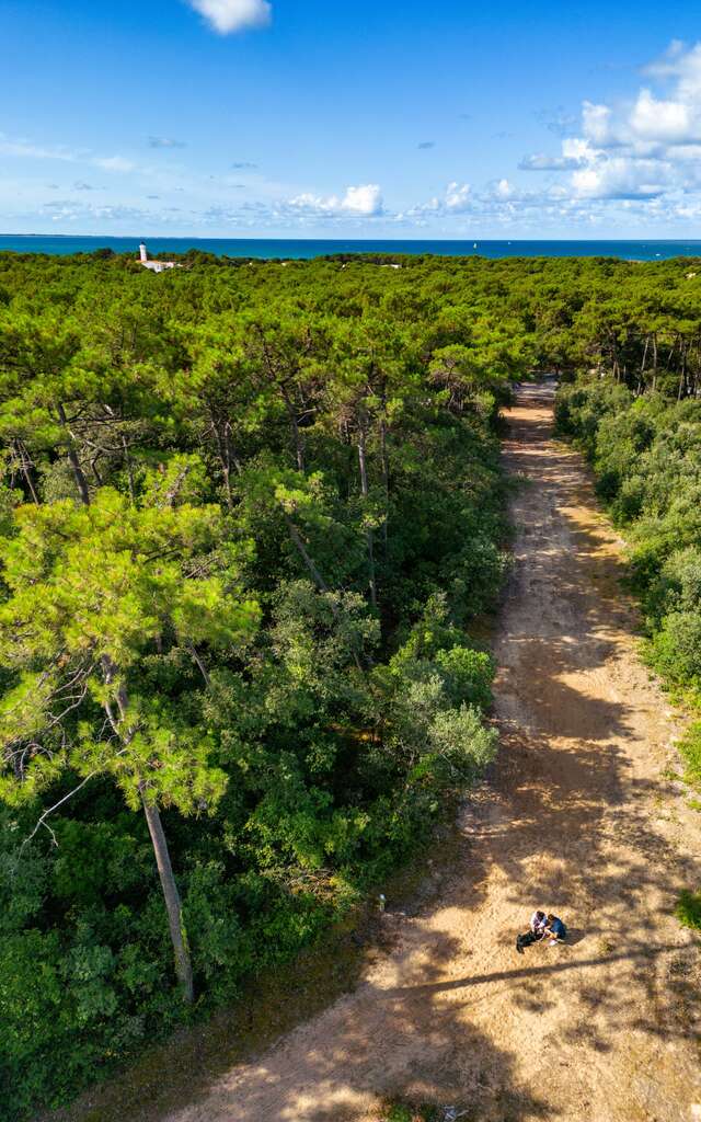 Visite guidée de la forêt
