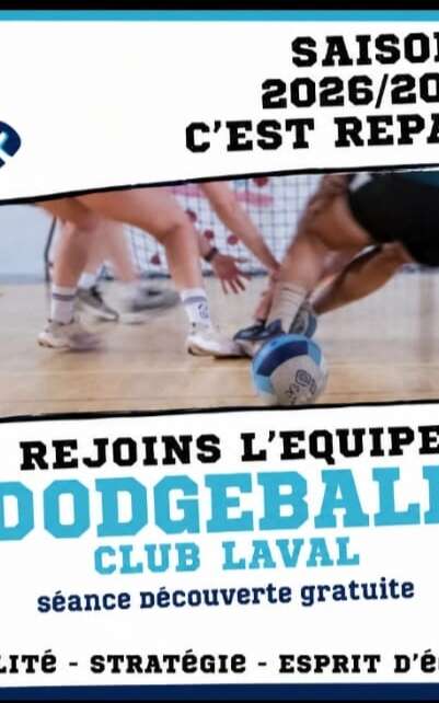 Séances découvertes de Dodgeball