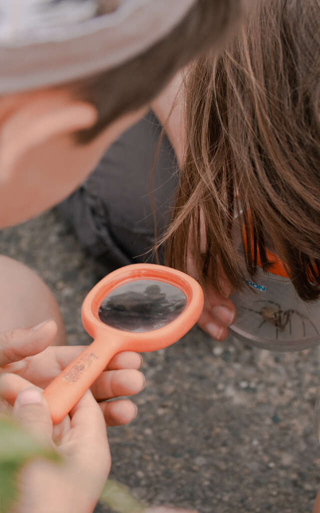 Même pas peur des p’tites bêtes