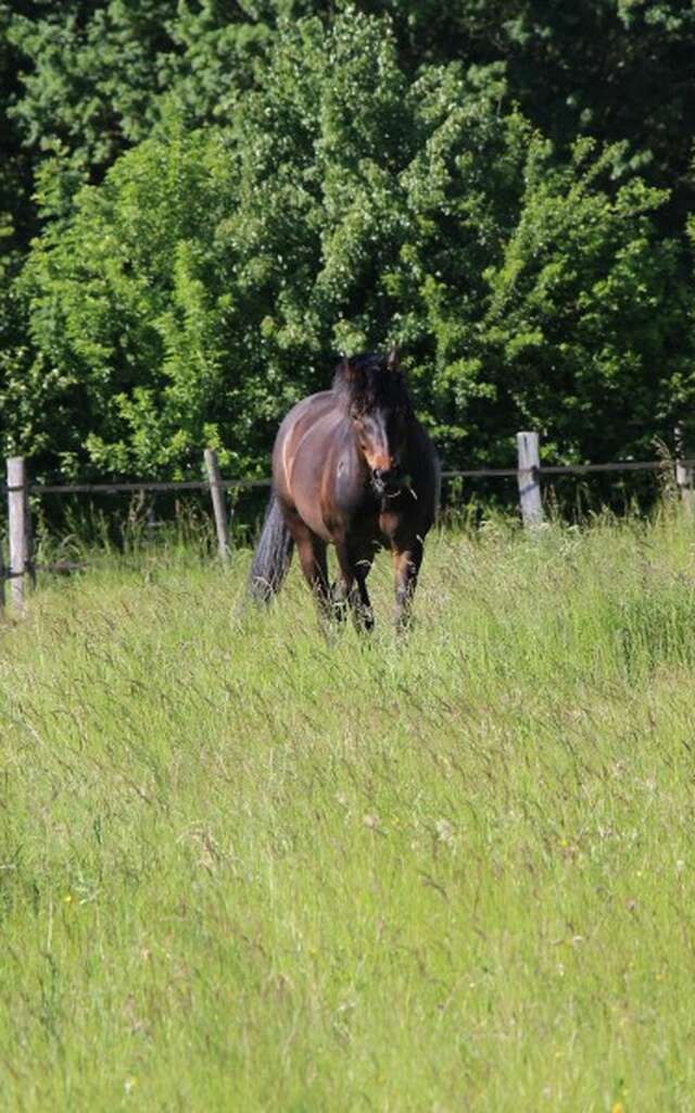 Écurie Seven Passion