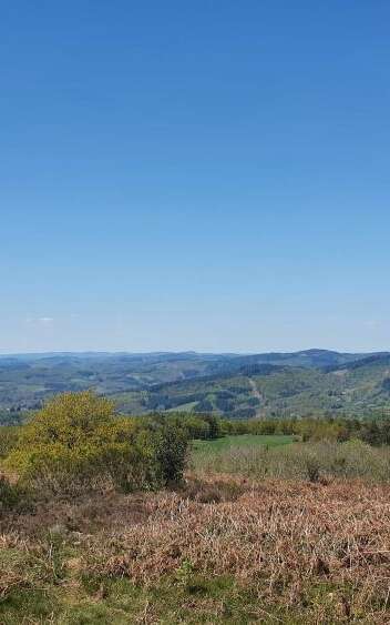 Patrimoine et forêt du Limousin