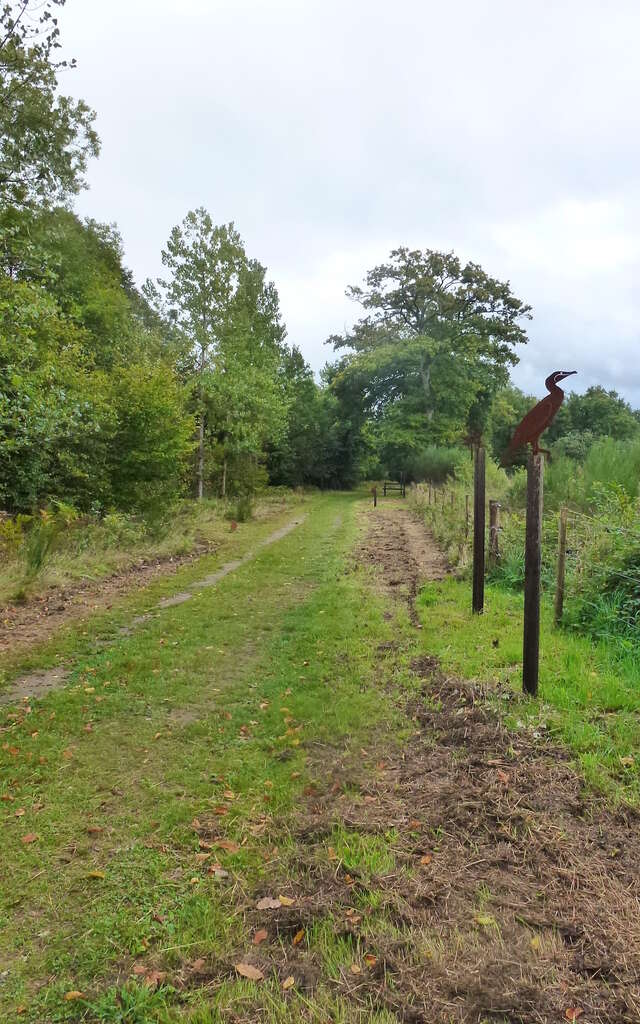 Le chemin du Héron au départ de Saillat-sur-Vienne