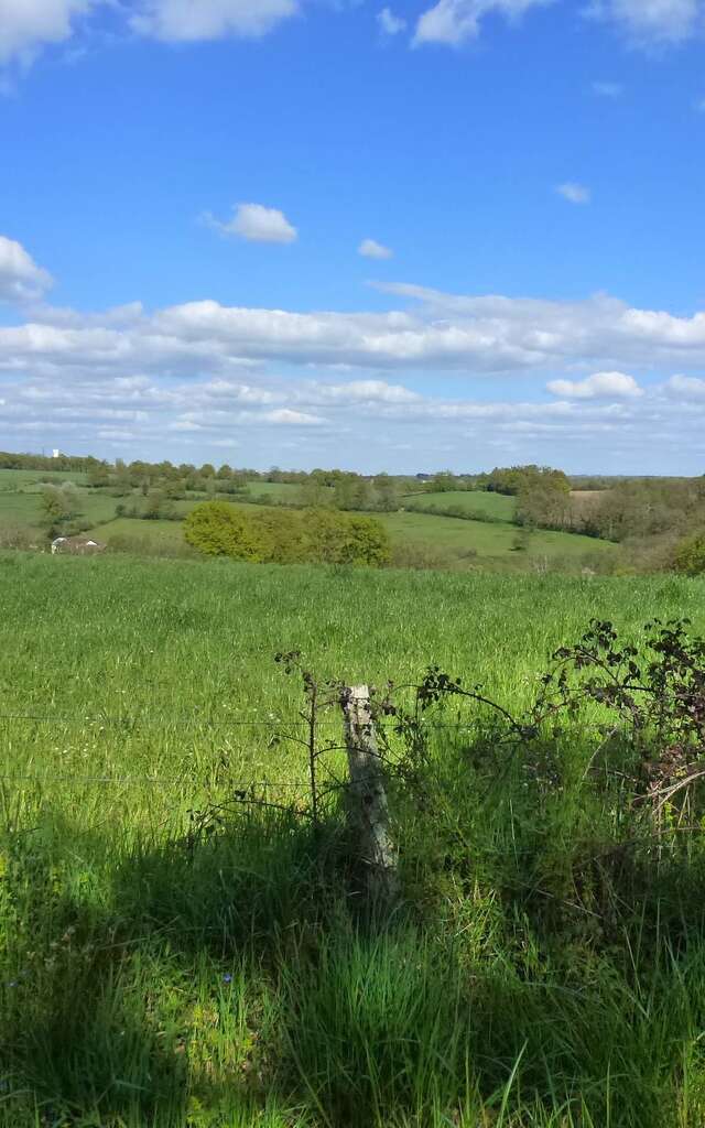 Chemin de Boireau