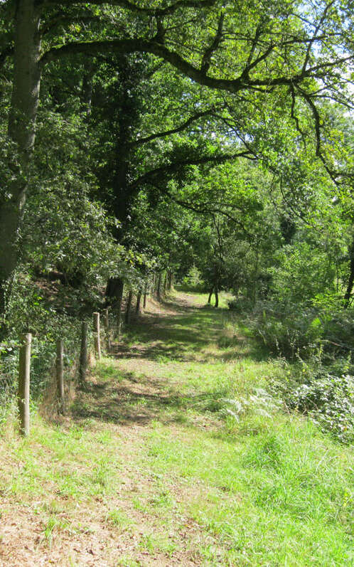 Liaison parc du Mas-Jambost - Bois des Vaseix