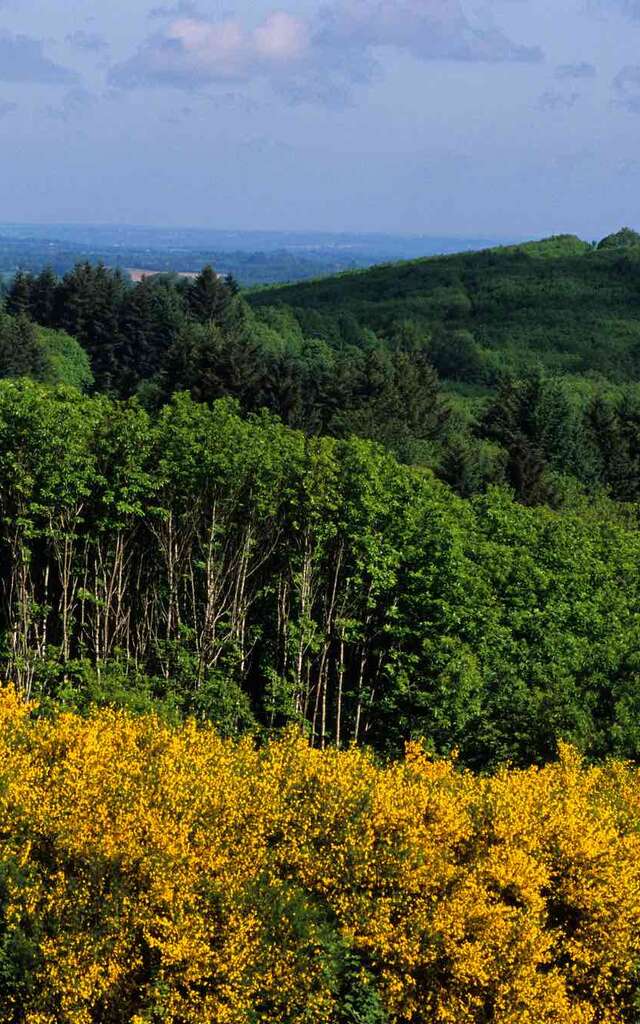 La Grande boucle du Parc Périgord-Limousin