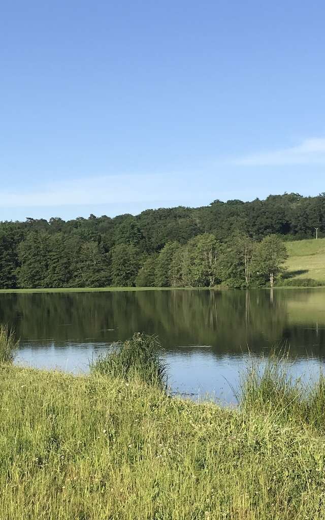 Boucle de Limoges à Saint-Pardoux Coeur de Nature