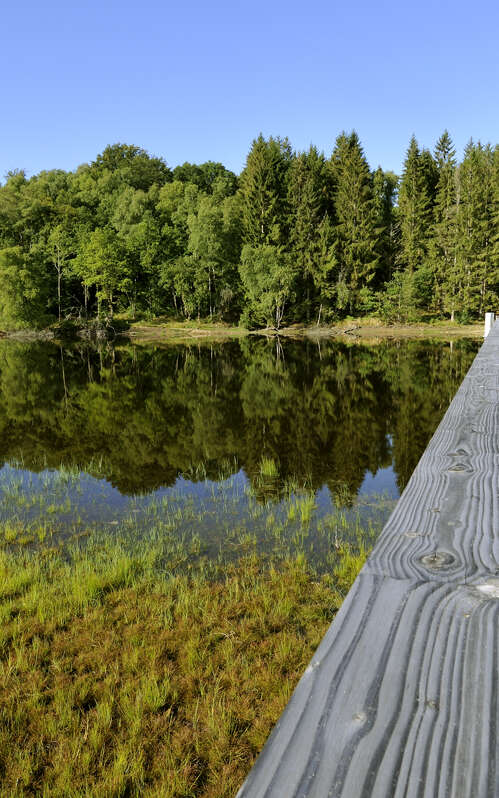 Tour du lac de Vassivière, "Sentier de rives"