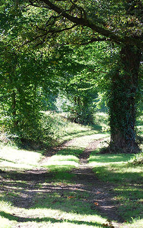 La Boucle VTT de Bosmie l'Aiguille - Circuit n°3 Val de Vienne Tour