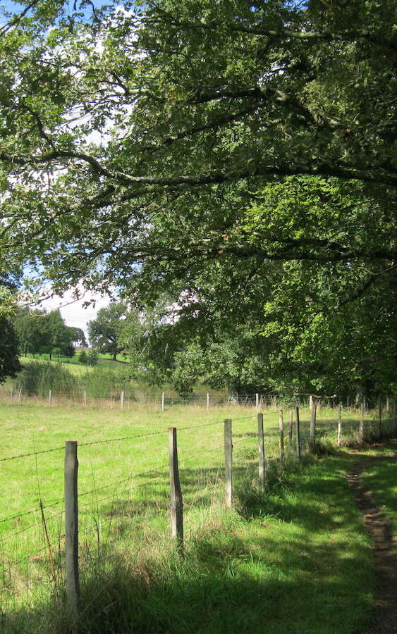 Sentier des trois ruisseaux