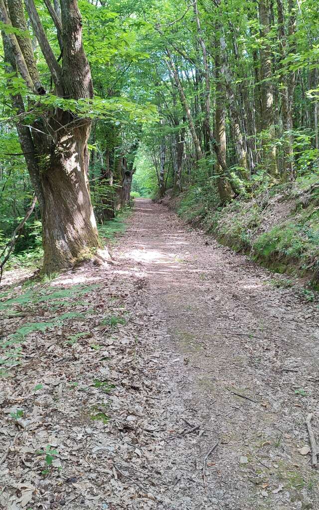 Circuit VTT n°6 Autour des monts d’Auriat