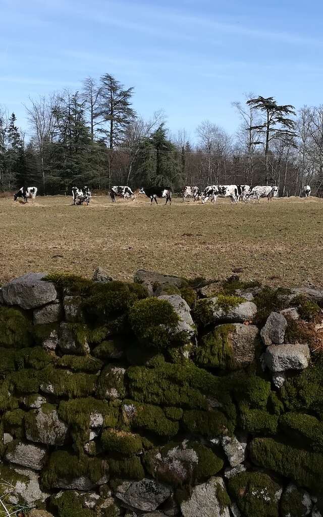 Sentier de Muret