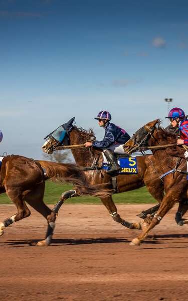 Courses hippiques à l'Hippodrome de Lisieux