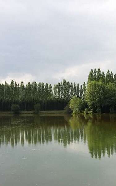 Étang de pêche : Domaine de l'Orbiquet