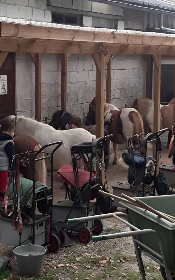 Poney Club Shet & Cie - Orbec