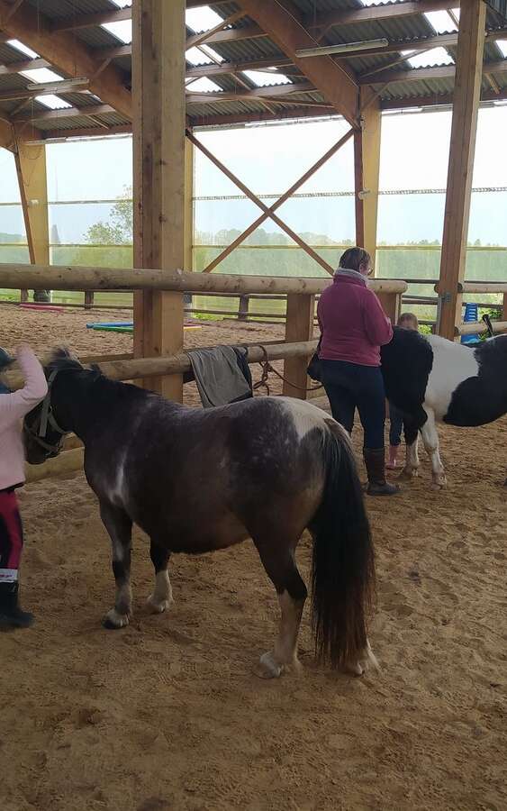 Balade à poney (1 heure) aux Chevaux de Marolles