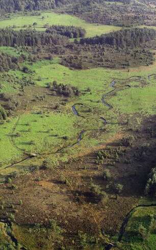 Sentier de découverte des landes et tourbières de la Mazure : Grande boucle