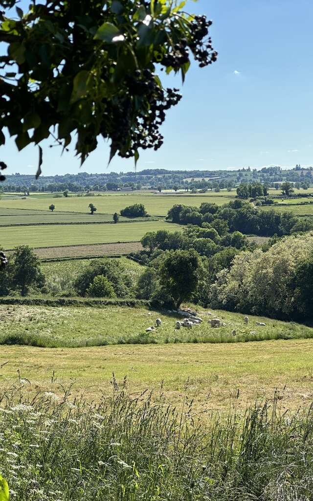 Les Fresses Glamping