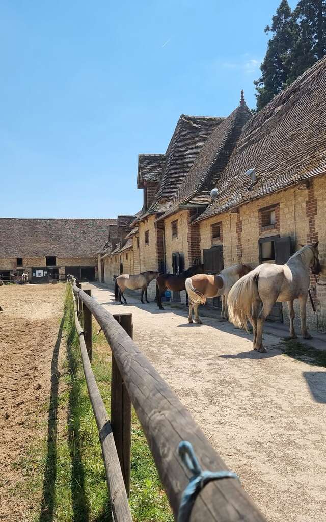 Haras de Neaufles