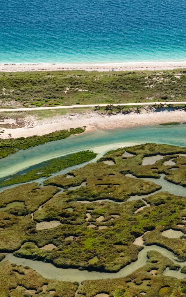 De la Mer Blanche au marais de Mousterlin