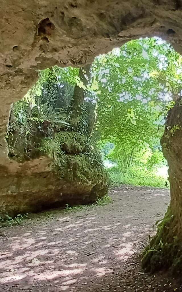 Dernière visite de l'année du site archéologique des grottes du Pape - Accès rapide