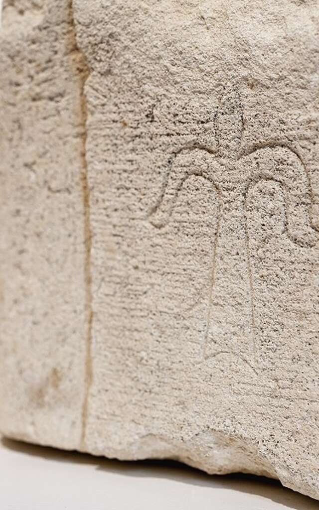 Atelier en famille - Empreintes et motifs