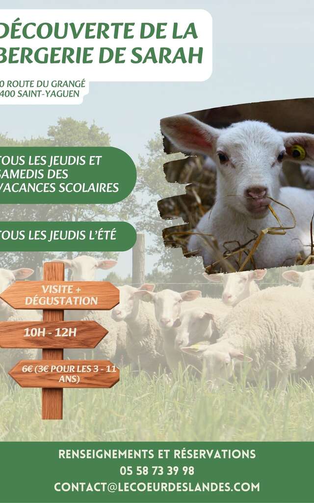 Découverte de la bergerie de Sarah : Visite & Dégustation