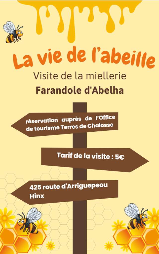 La vie de l'abeille - visite d'une miellerie