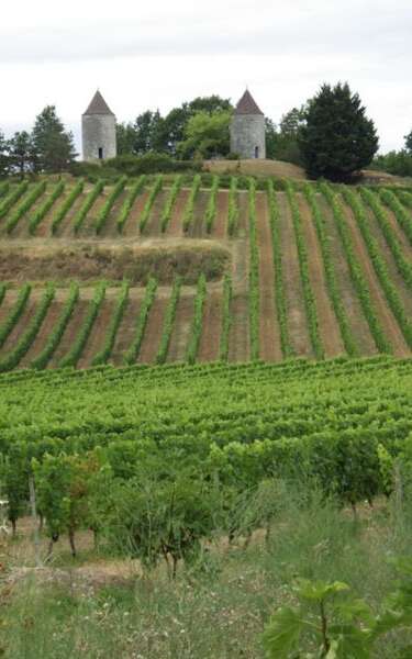 Moulins de Boisse