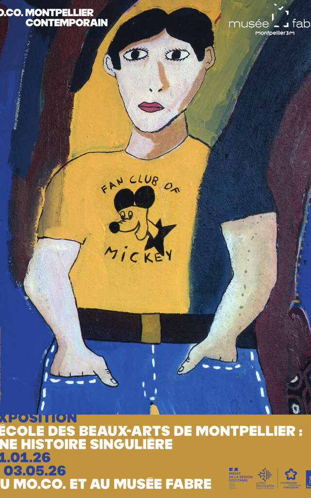 L'ÉCOLE DES BEAUX-ARTS DE MONTPELLIER : UNE HISTOIRE SINGULIÈRE