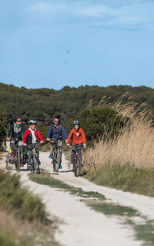 LES BALADES CYCLOSALÉES AVEC L'EID
