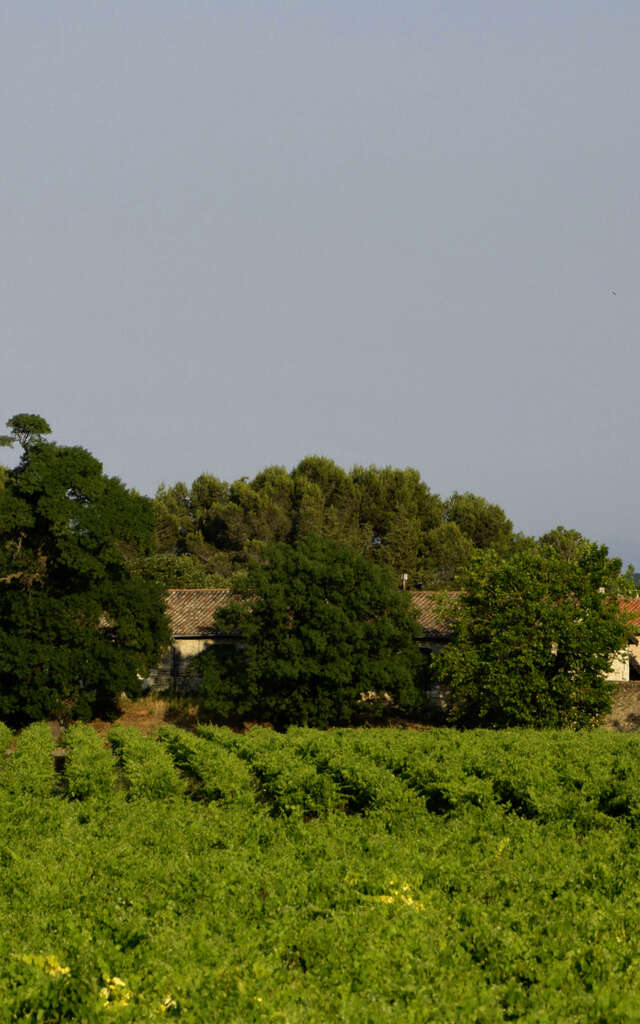 CHATEAU DE FOURQUES