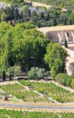 DOMAINE VITICOLE DE L’ABBAYE DE VALMAGNE