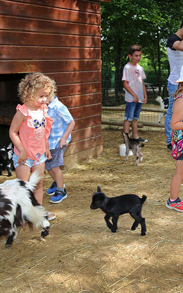 LES PETITS FERMIERS