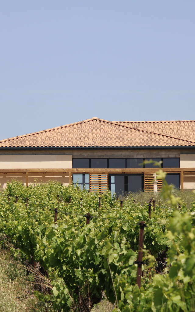 DOMAINE DE LA COSTE - MOYNIER