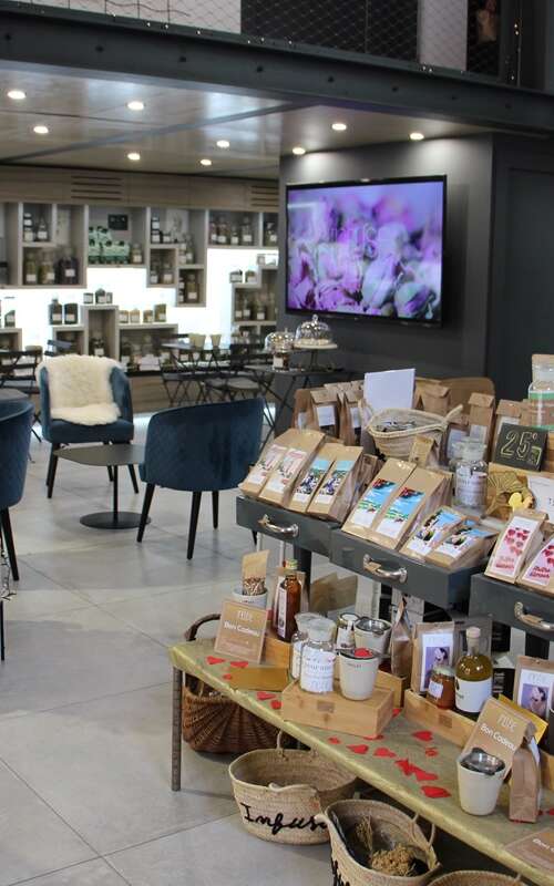 INFUSE - HERBORISTERIE