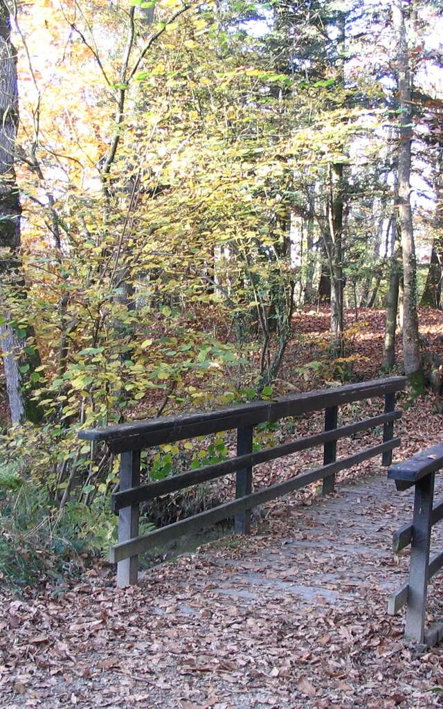 Bretagne Romantique : Circuit Chateaubriand n° 15