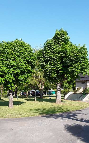 L'Écluse - Camping bar Restaurant