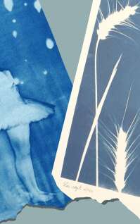 Atelier Cyanotype