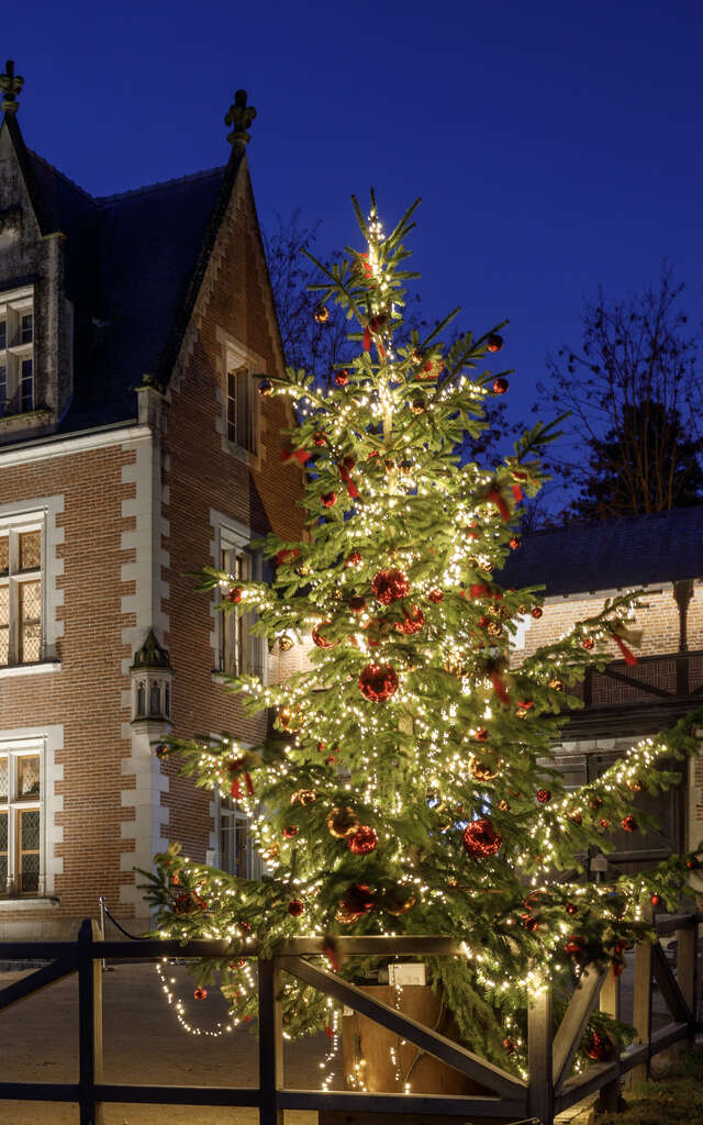 Fééries de Noël au Château du Clos Lucé