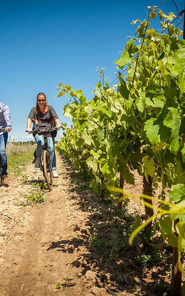 RÊVE DE VÉLO Tours