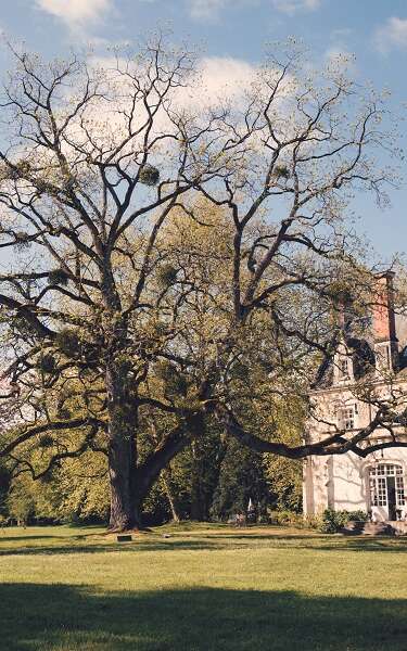 Château de Razay