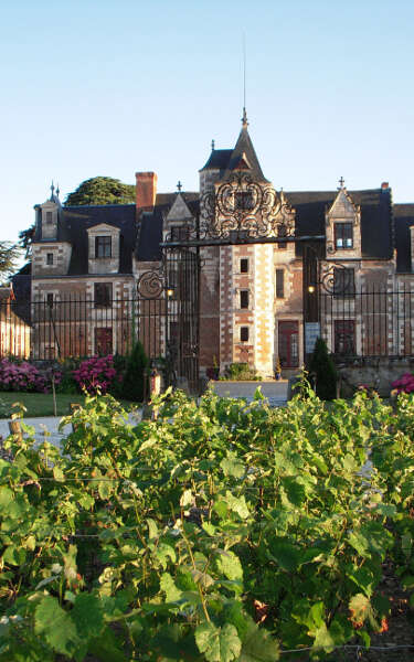 Château de Jallanges