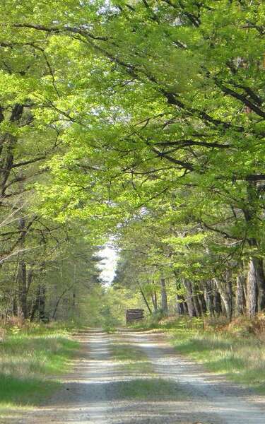 Val de Loire écotourisme