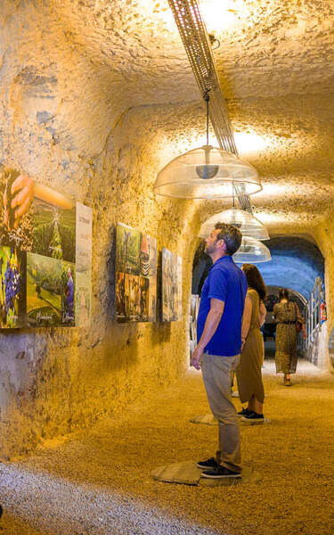Caves Ambacia