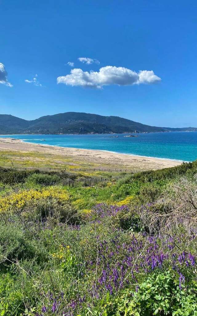 PLAGE DE CAPU LAUROSU