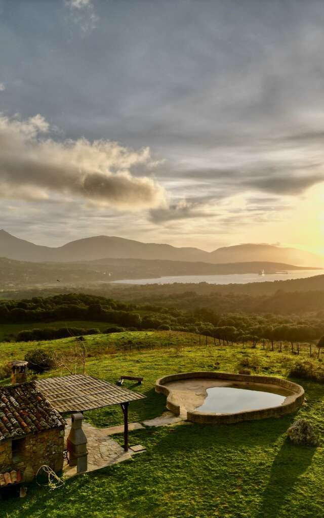 DOMAINE DE L'OGLIASTRU