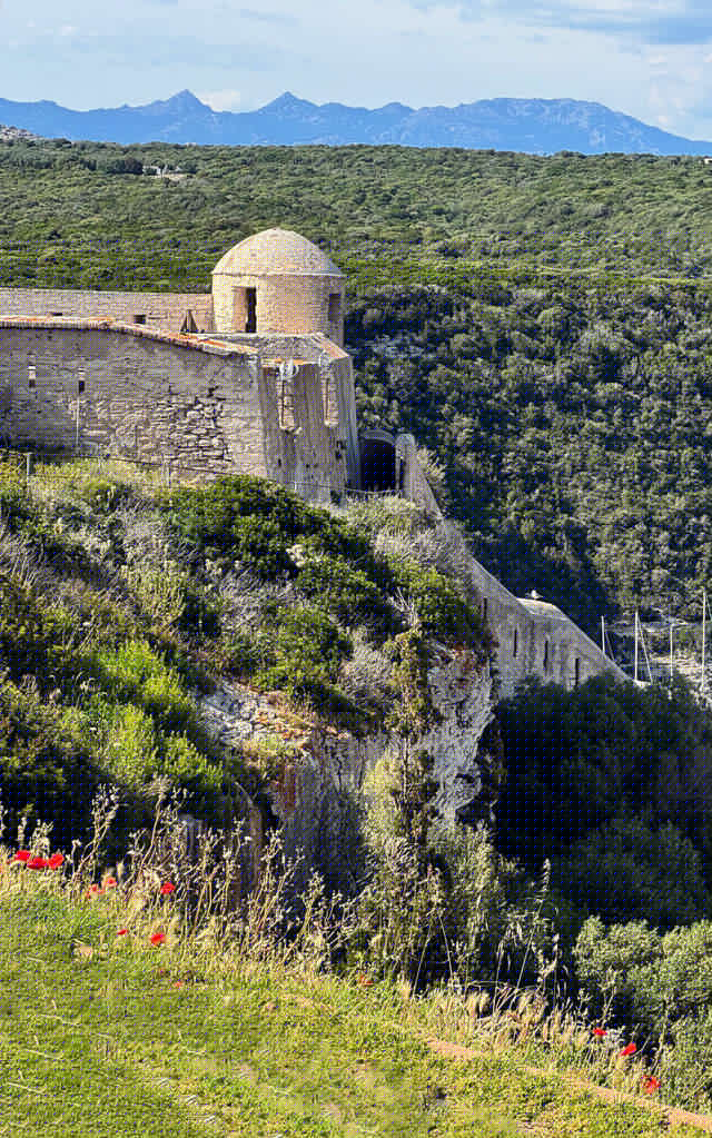EXPOSITION : ÉVEIL DES 5 SENS - FÊTE DE LA NATURE
